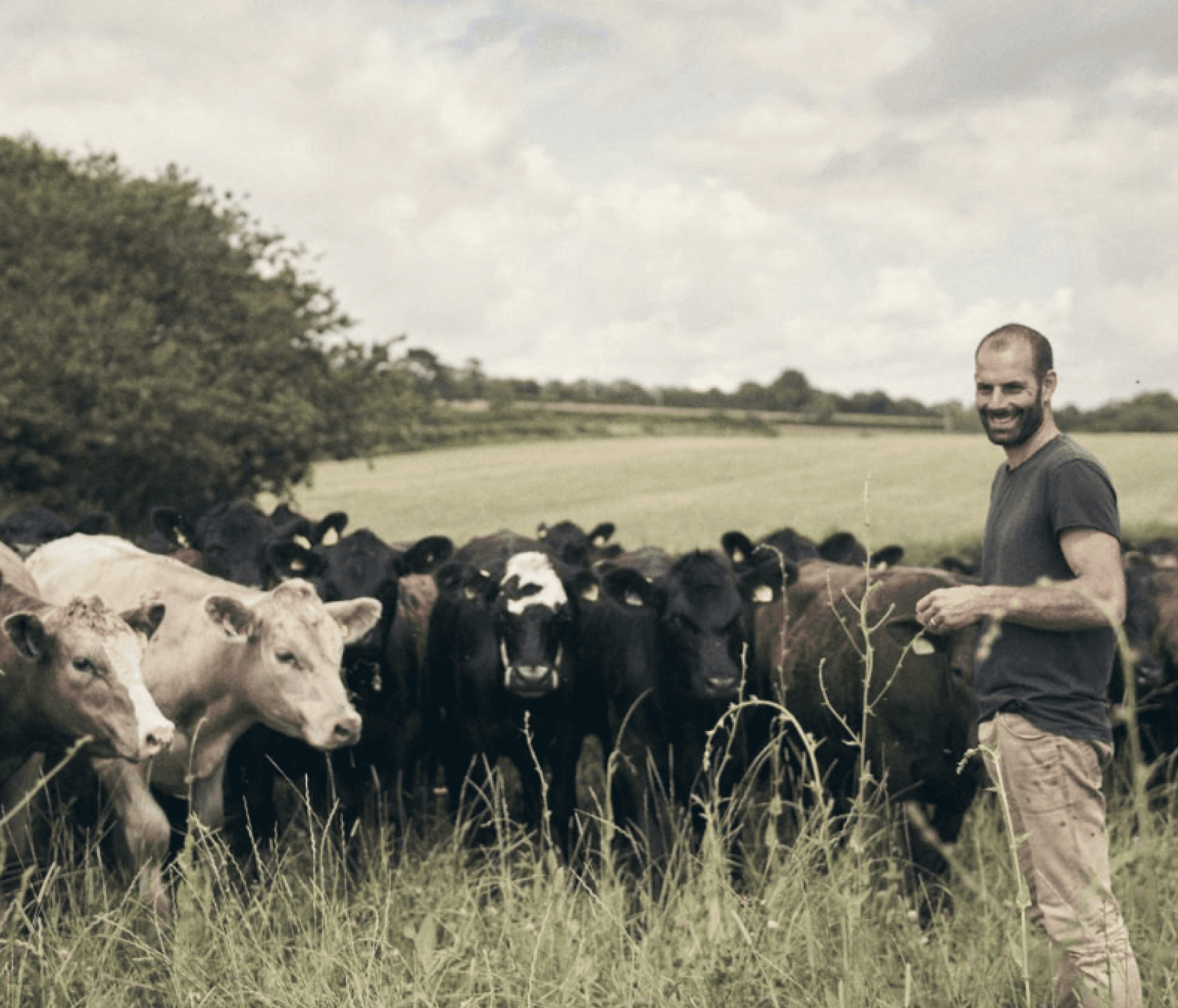 Farmer standing in a field beside a group of cattle.